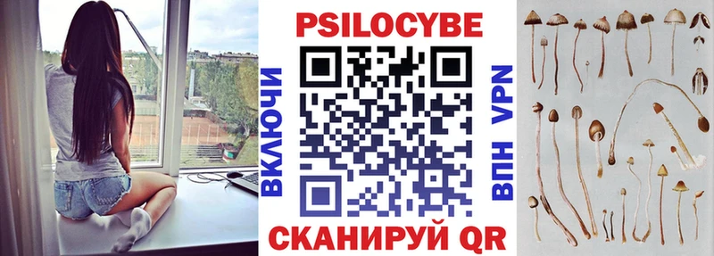 Галлюциногенные грибы прущие грибы  Волгоград 