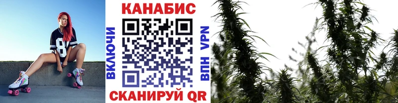 Бошки марихуана ГИДРОПОН  купить  сайты  Волгоград 